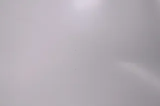 Pedrali Sitzschale Gliss weiss matt Modell: Gliss Ersatzteil NEU mit Lagerspuren - Bild 6