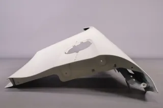 Mercedes-AMG GTR Pro Kotflügel links  Carbon A19088047019133 A1908816300 NEU - Bild 10