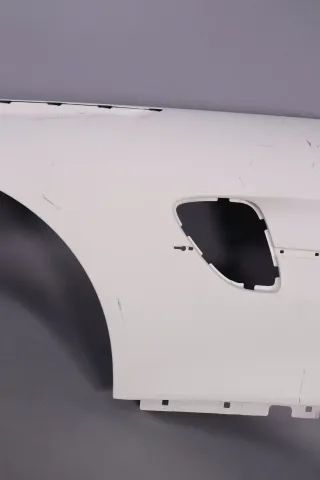 Mercedes-AMG GTR Pro Kotflügel links  Carbon A19088047019133 A1908816300 NEU - Bild 3