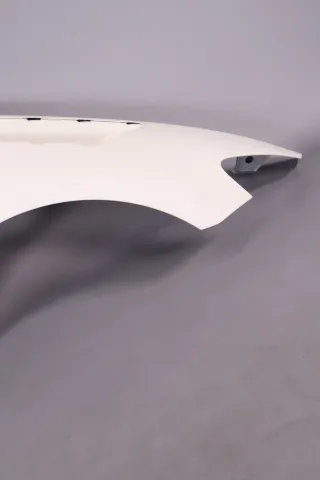 Mercedes-AMG GTR Pro Kotflügel rechts Carbon A19088048019133 A1908816400 NEU - Bild 4