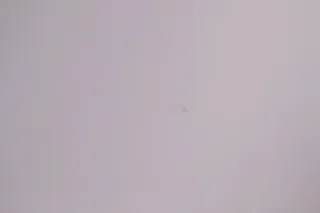 Scab Sitzfläche Zebra  Farbe: weiß Ersatzteil  NEU mit Lagerspuren - Bild 9