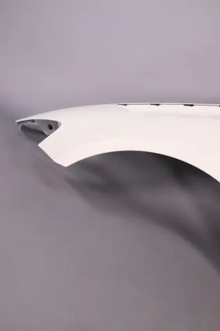 Mercedes-AMG GTR Pro Kotflügel links  Carbon A19088047019133 A1908816300 NEU - Bild 2